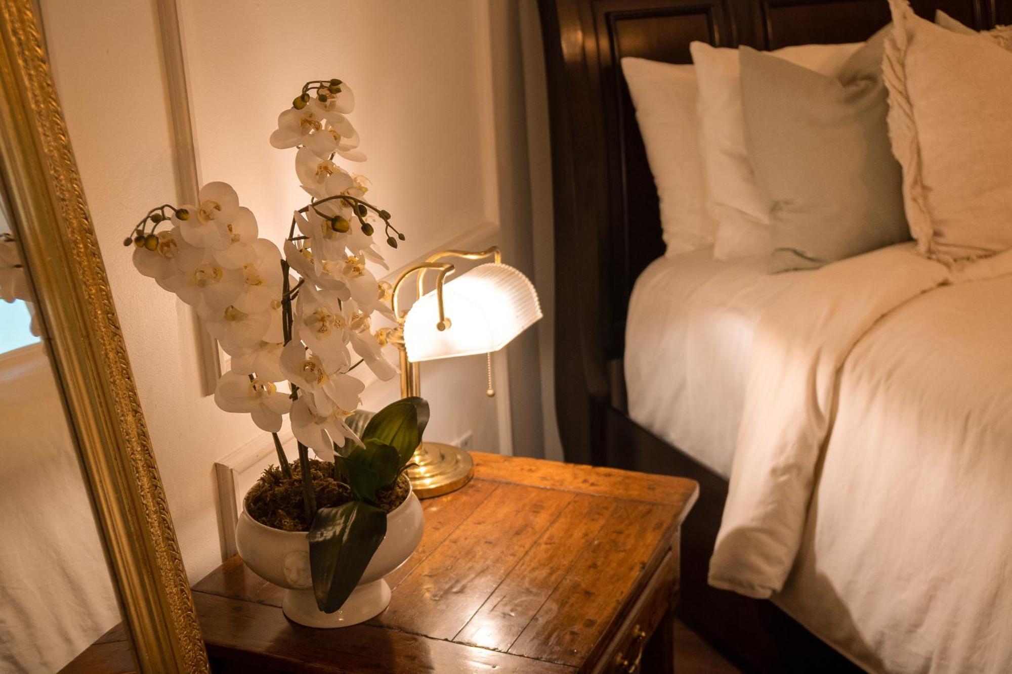 Bed and Breakfast Mansion Papilio Meksyk Zewnętrze zdjęcie